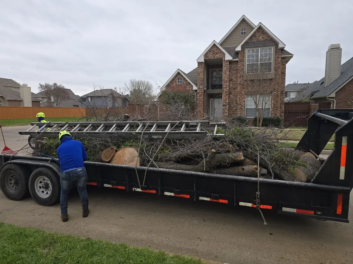 Expert Tree Fertilization with proper safety equipment in Stormville